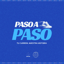 Paso a Paso 2024